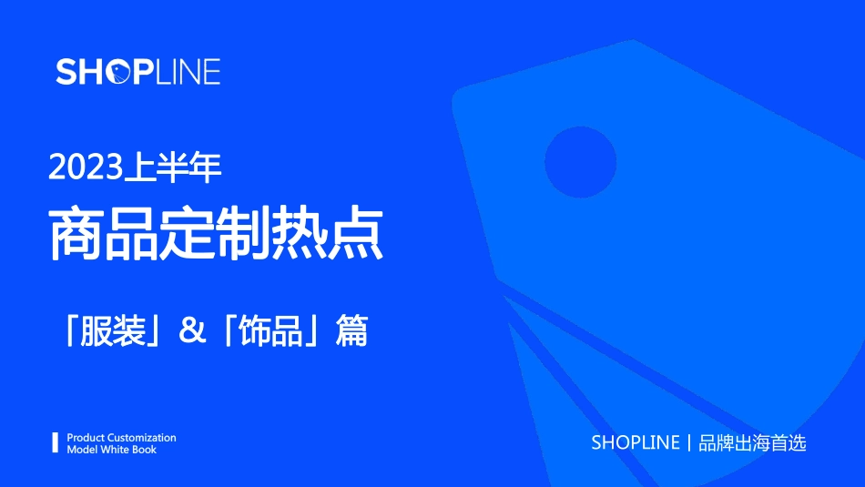 2023上半年商品定制热点-服饰饰品篇-2023.04-43页-WN5.pdf_第1页