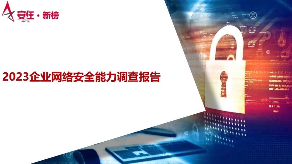 2023企业网络安全能力调查报告-24页-WN6.pdf_第1页