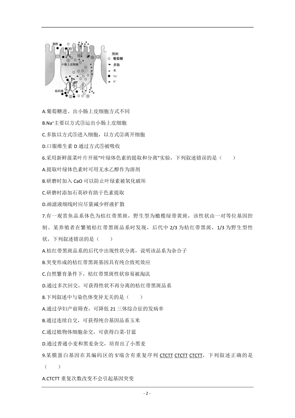 2020年江苏省高考生物试卷 (1).pdf_第2页