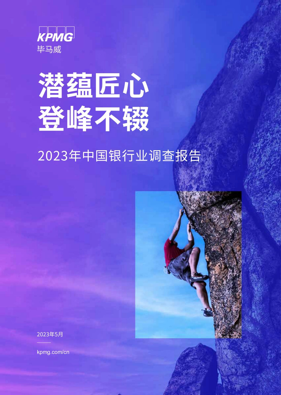 2023年中国银行业调查报告-2023.06-244页-WN6.pdf_第1页