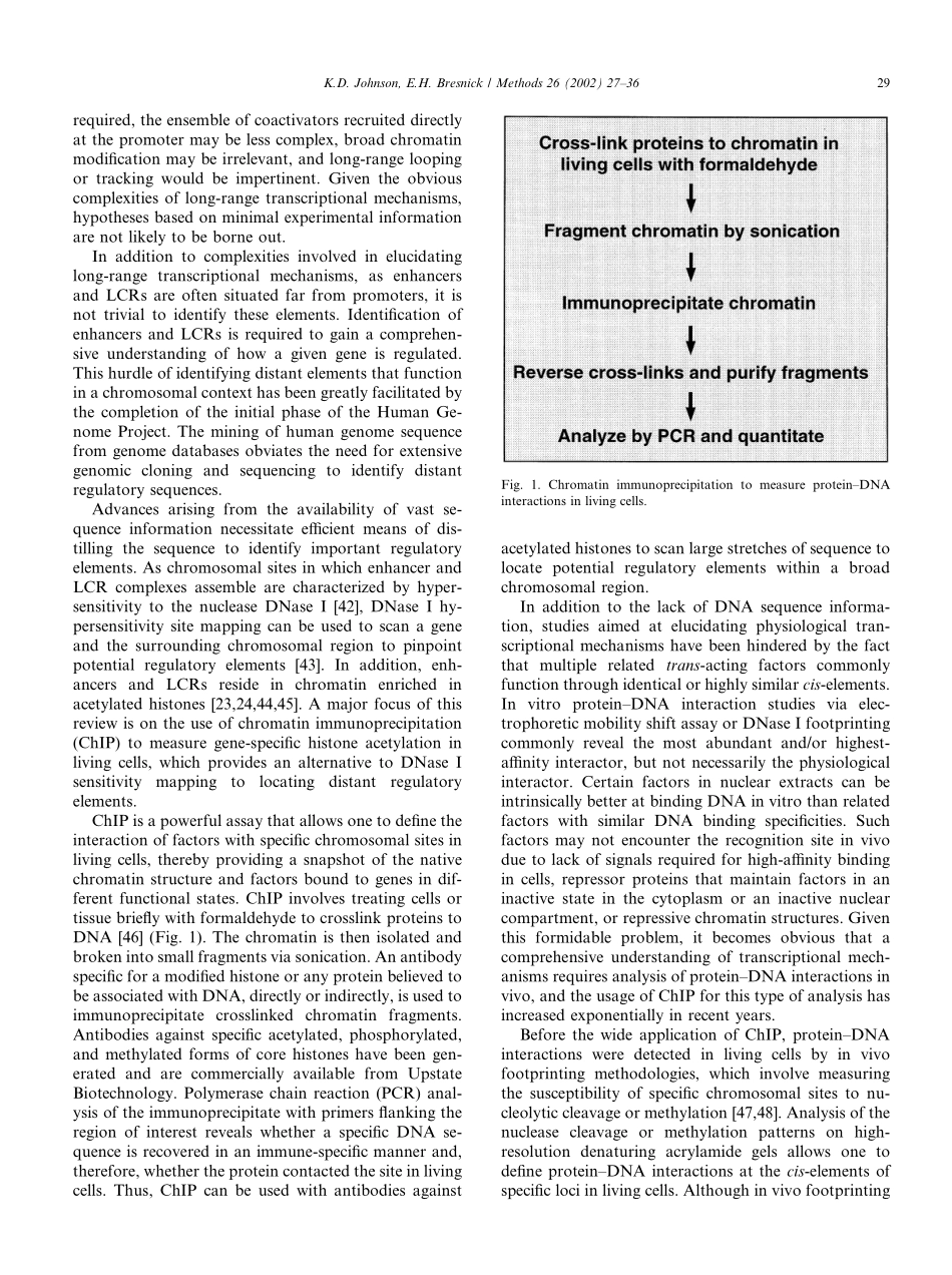 Dissecting long-range transcriptional mechanisms by ChIP(1).pdf_第3页
