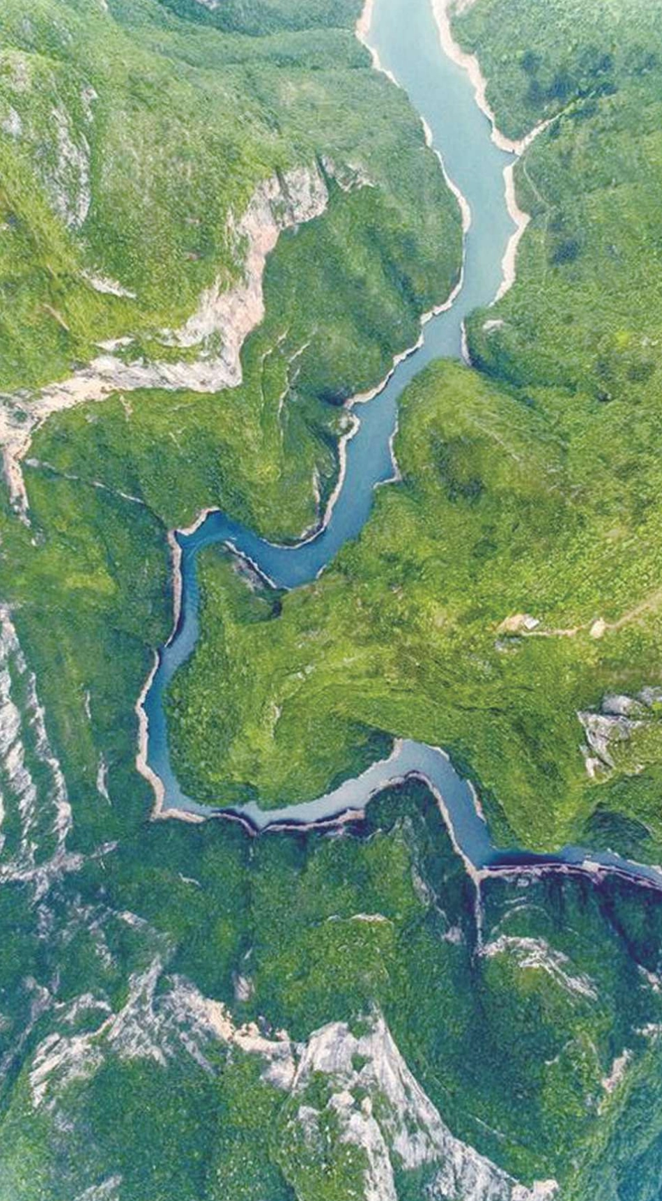 2023可持续供应链发展洞察报告-2023.09-54页-WN9.pdf_第3页