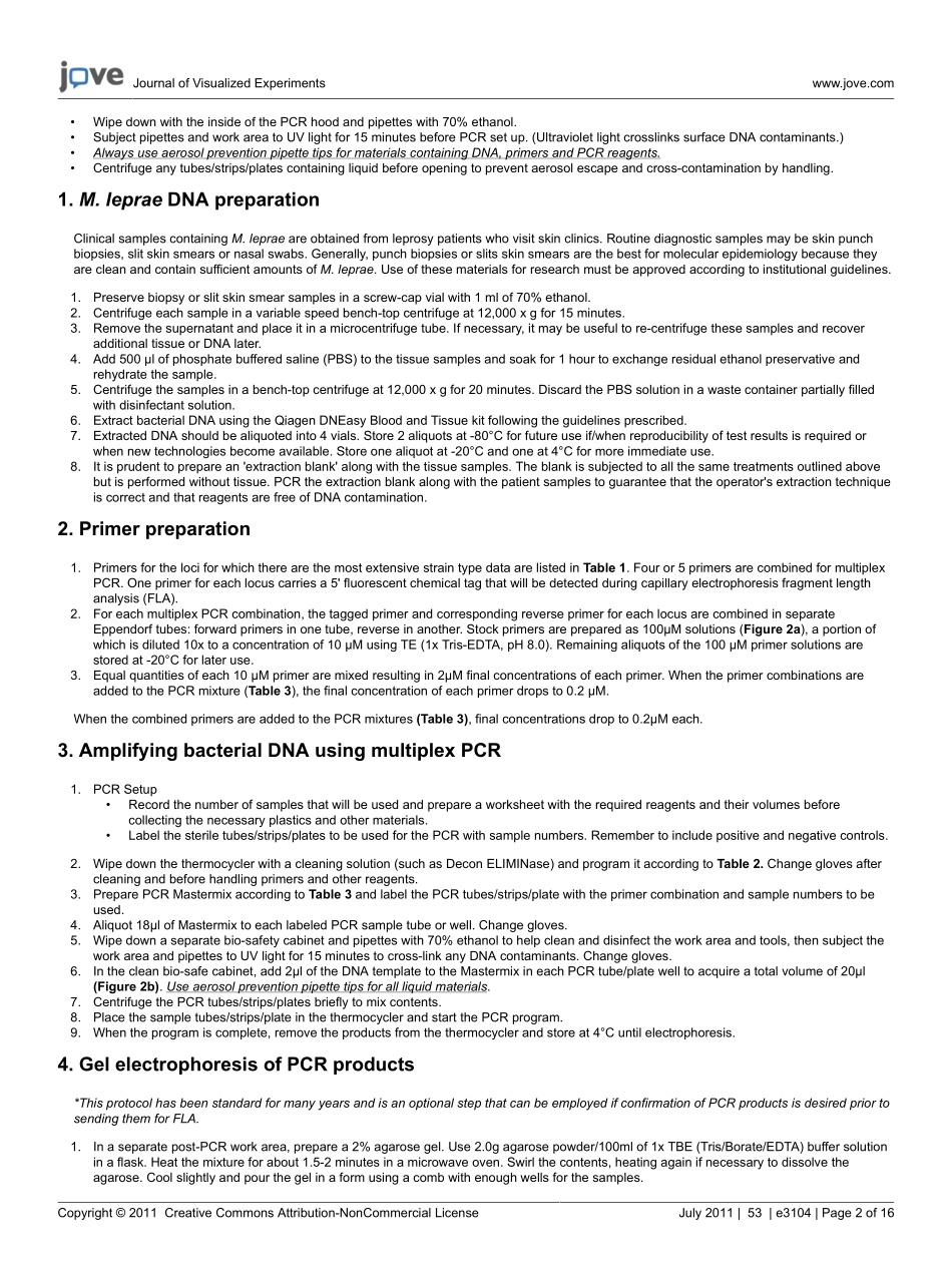 jove-protocol-3104-.pdf_第2页