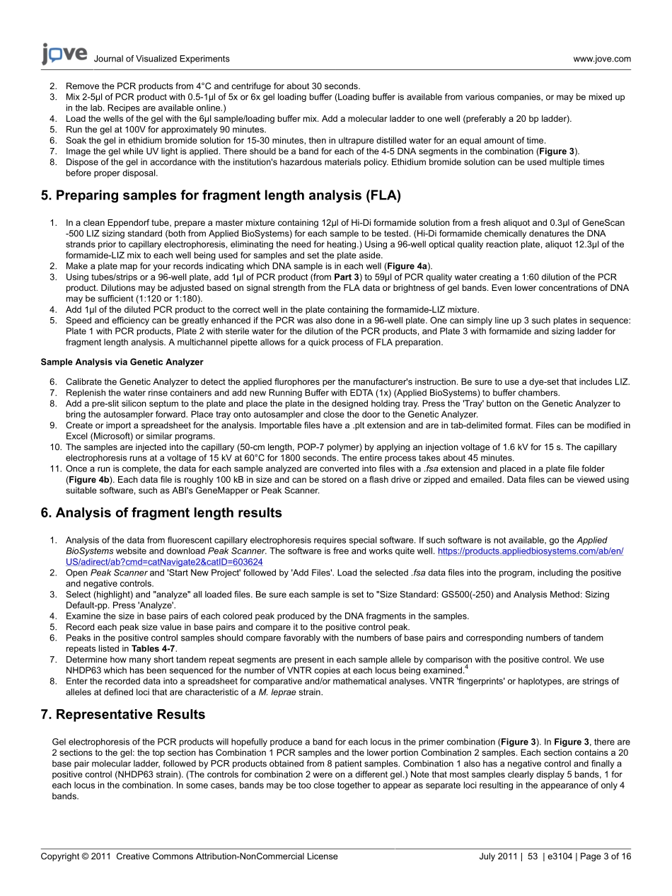 jove-protocol-3104-.pdf_第3页