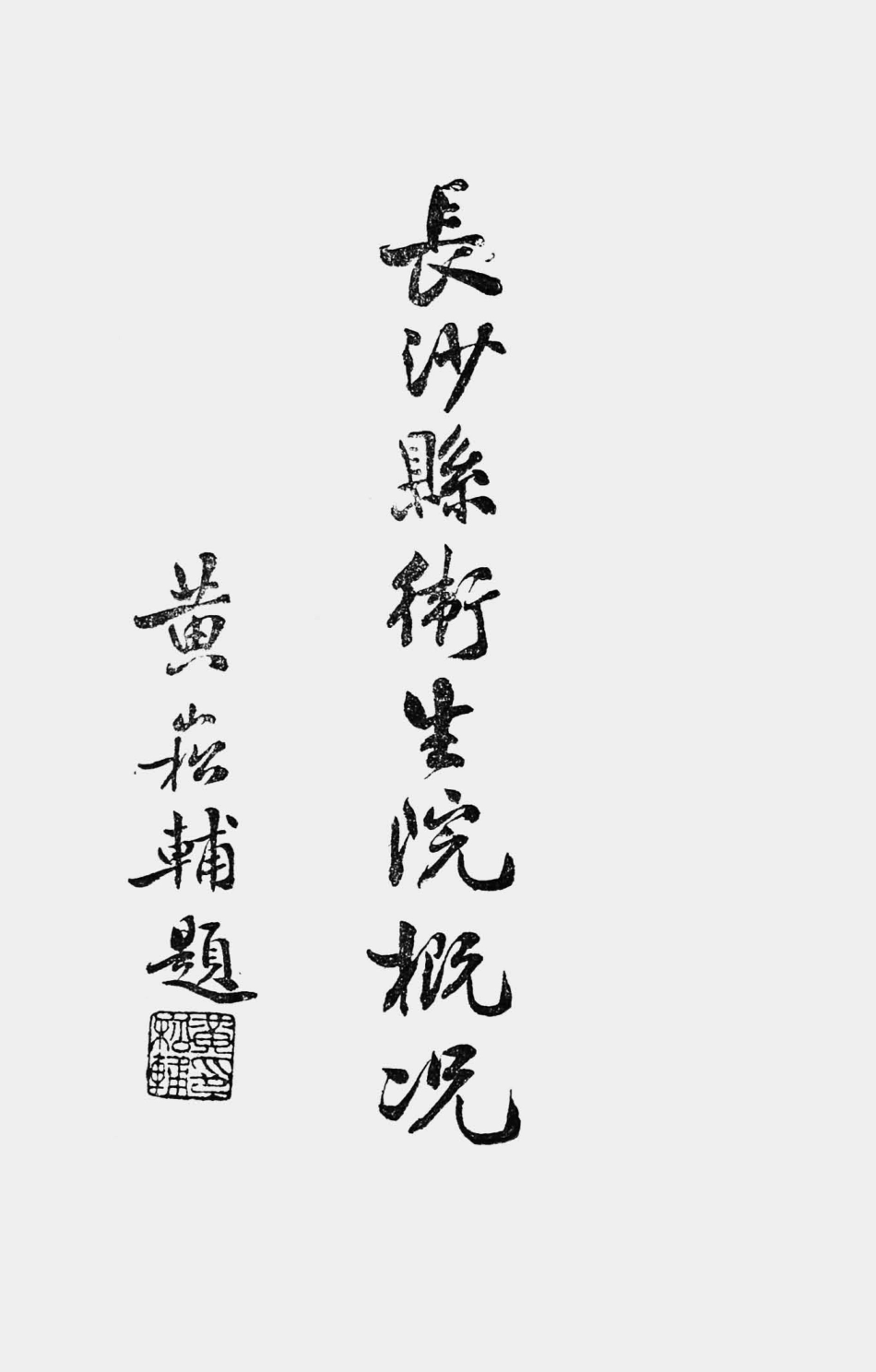 003592湖南长沙县卫生院概况.pdf_第2页