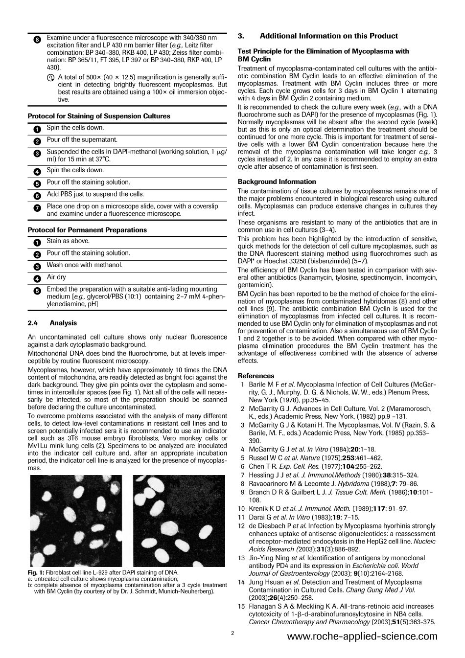 BM Cyclin.pdf_第2页