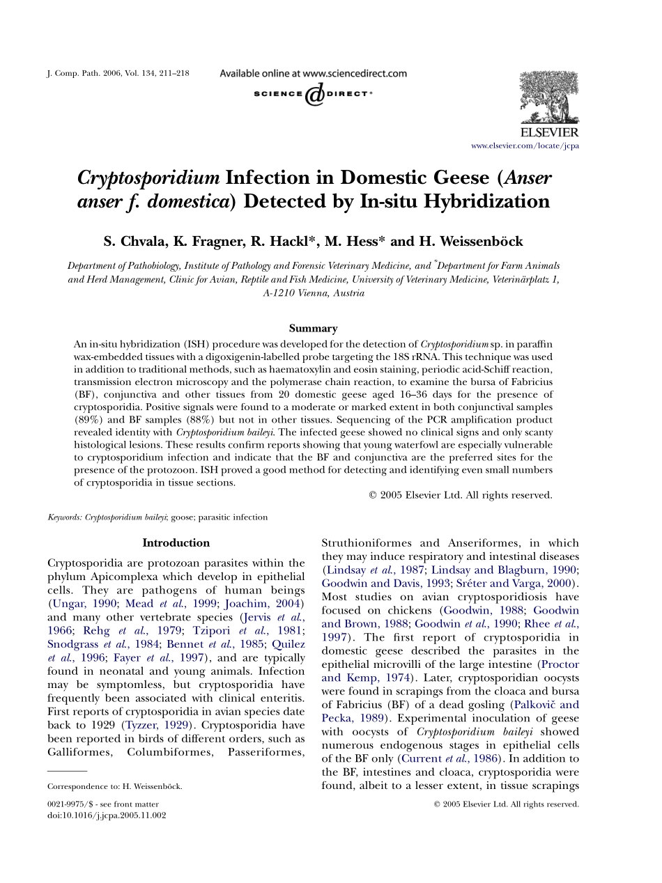 Cryptosporidium Infection in Domestic GeeseDetected by In-situ Hybridization(1).pdf_第1页