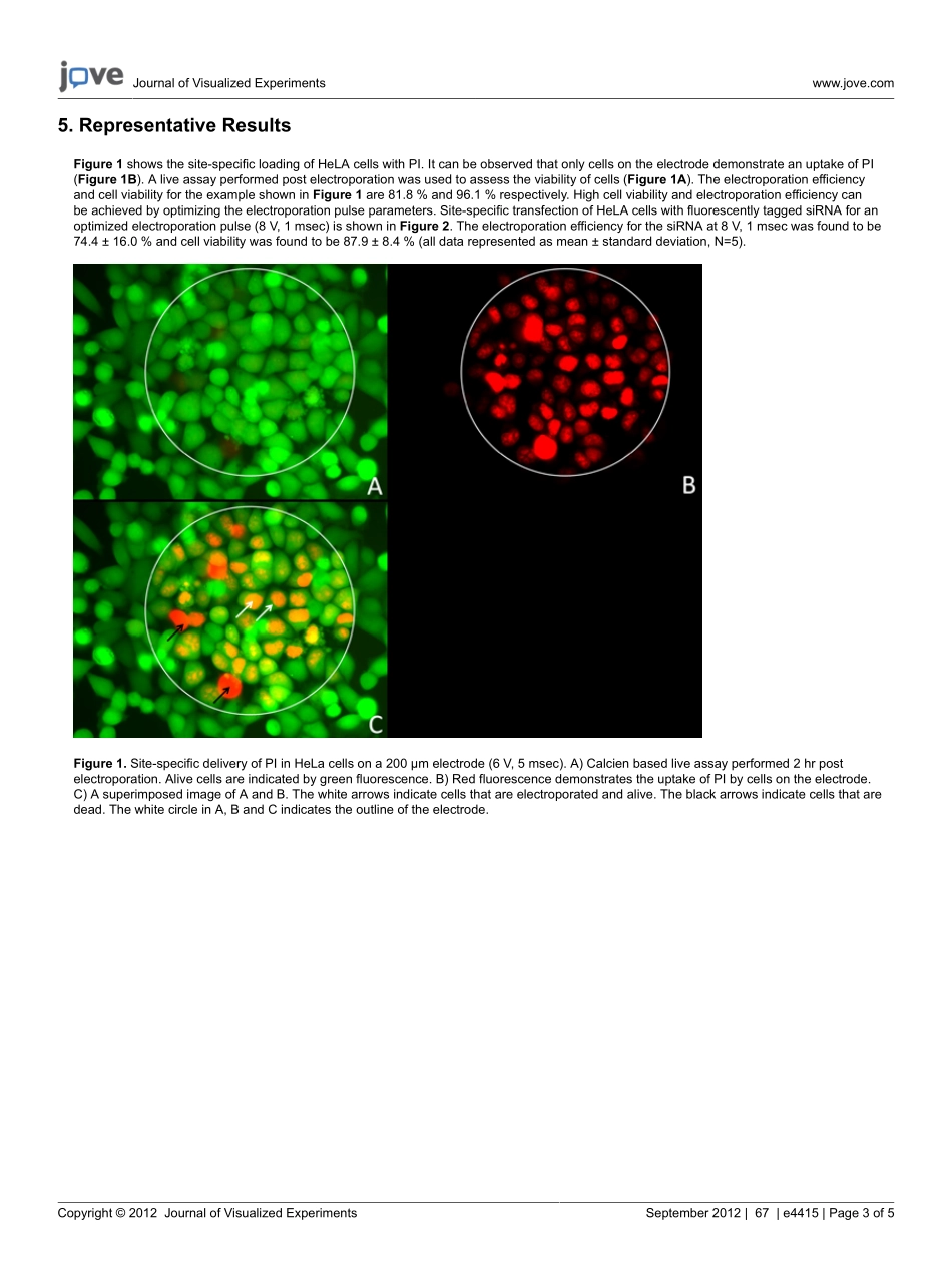 high-efficiency.pdf_第3页