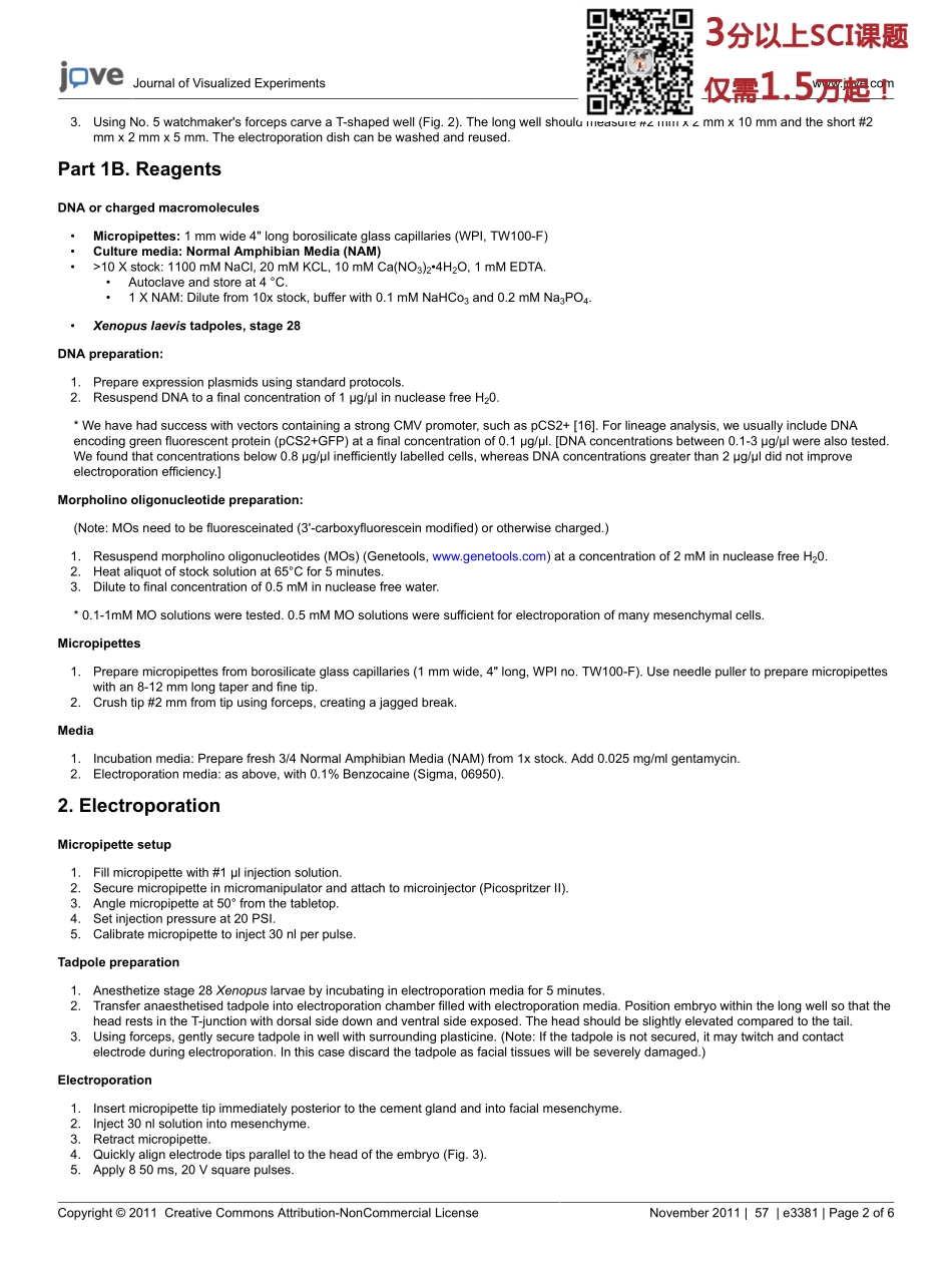 jove- (1).pdf_第2页