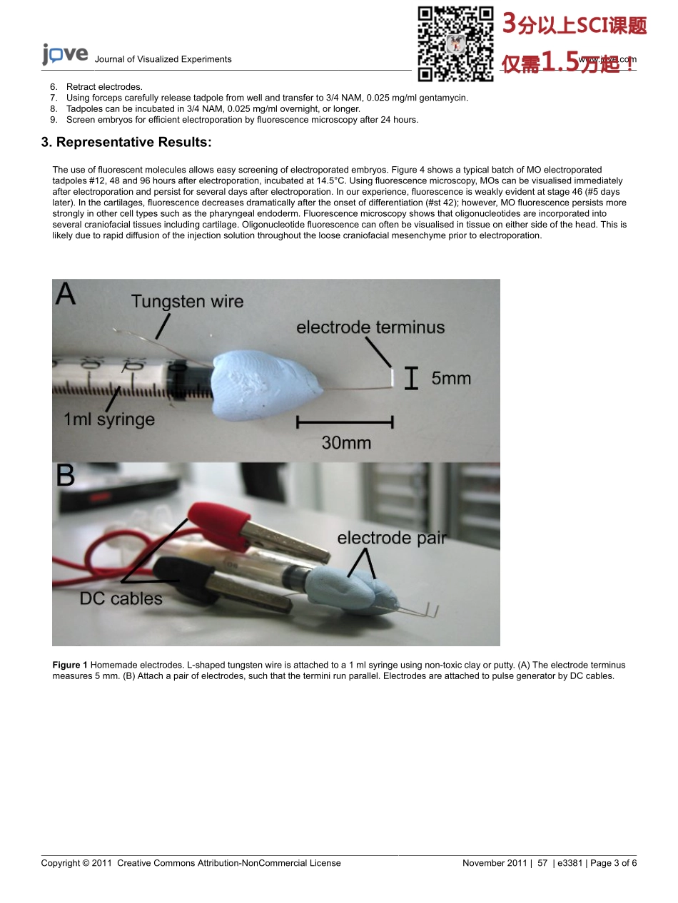 jove- (1).pdf_第3页