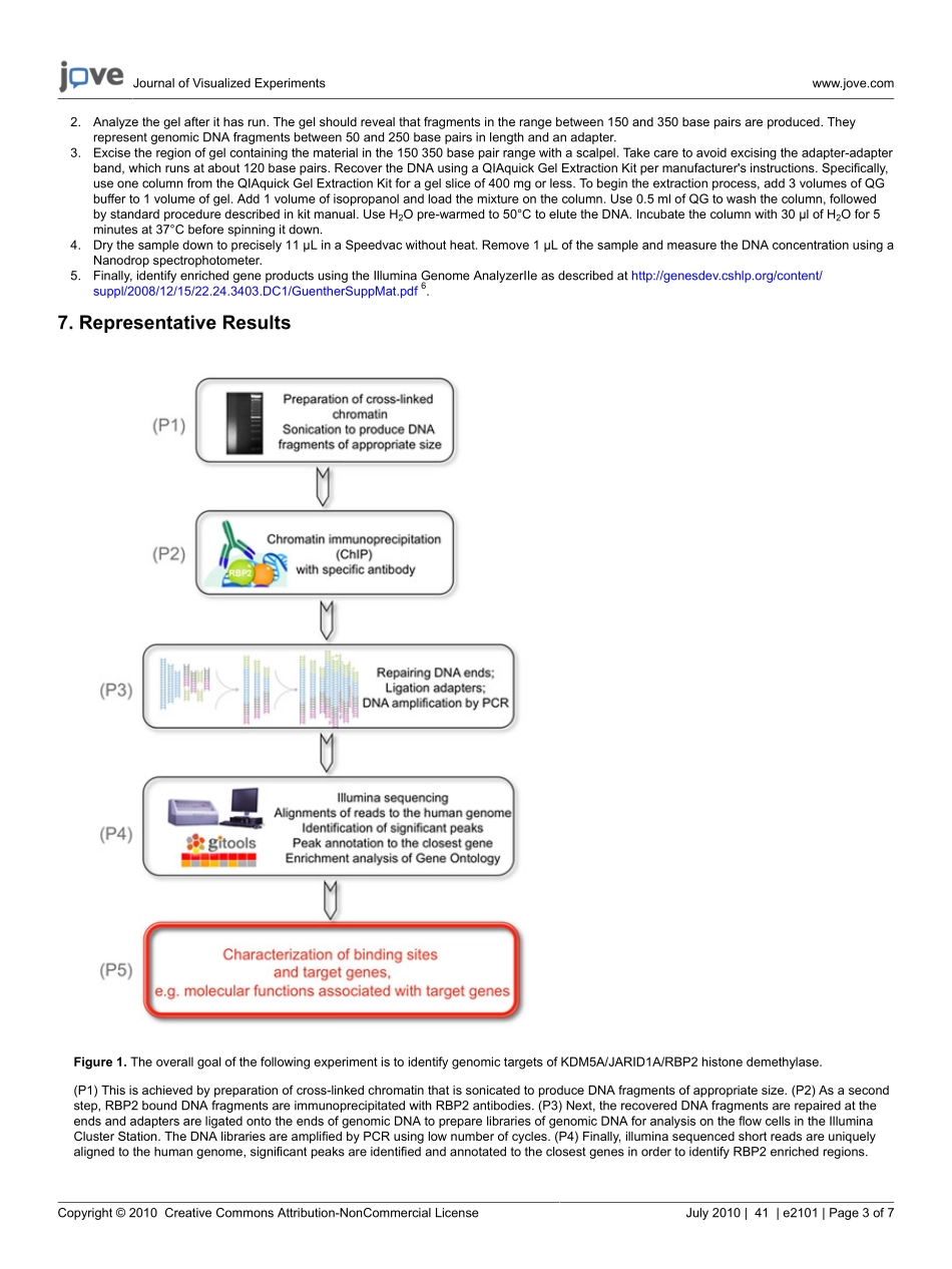 jove-protocol-2101.pdf_第3页