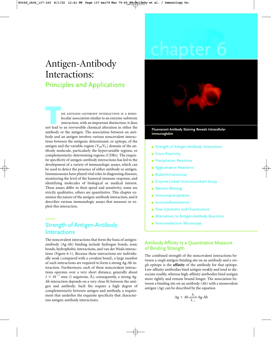 Chapter+06(1).pdf_第1页