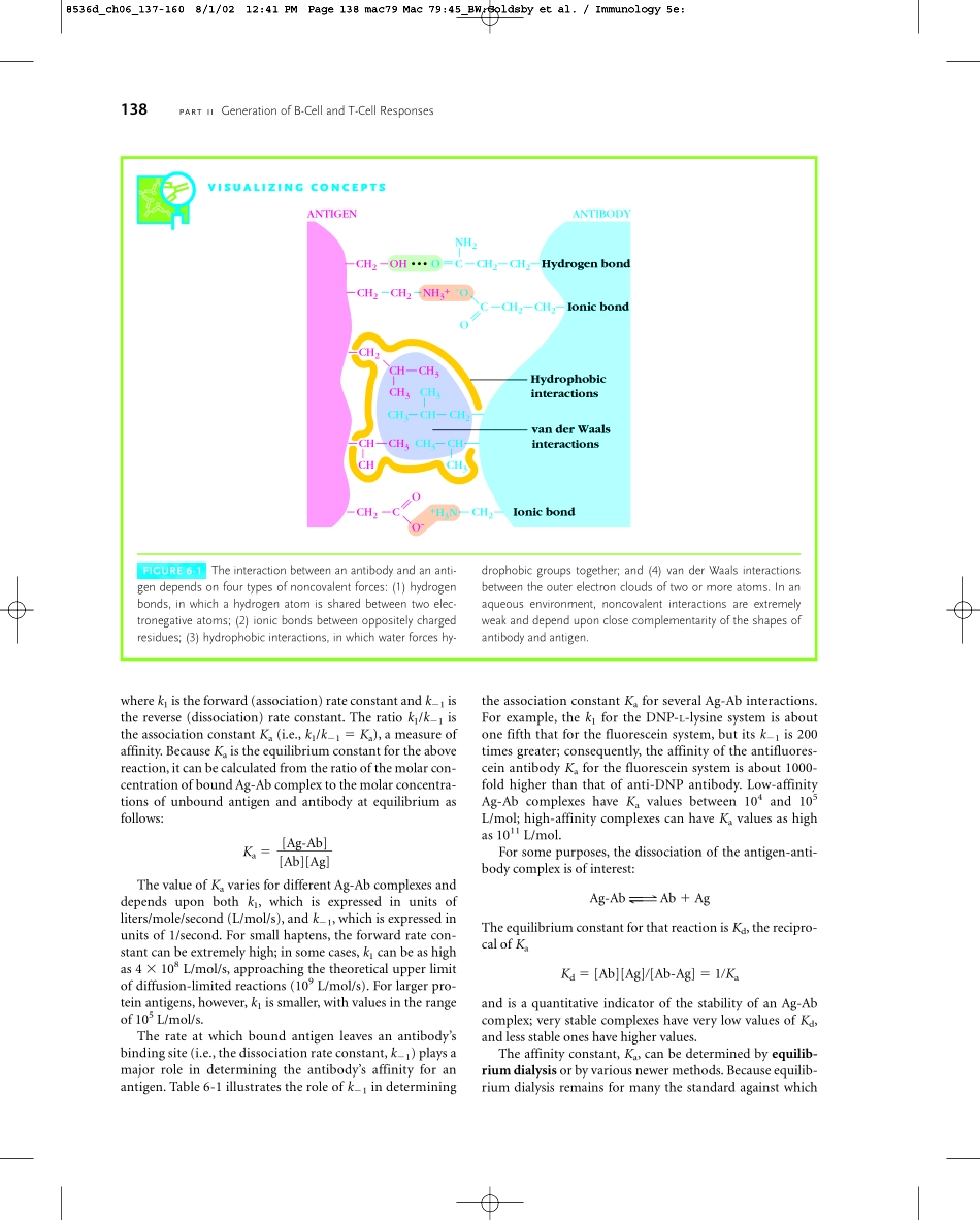 Chapter+06(1).pdf_第2页