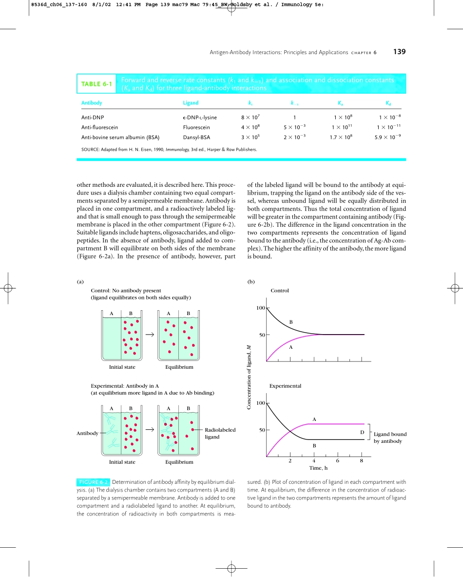 Chapter+06(1).pdf_第3页