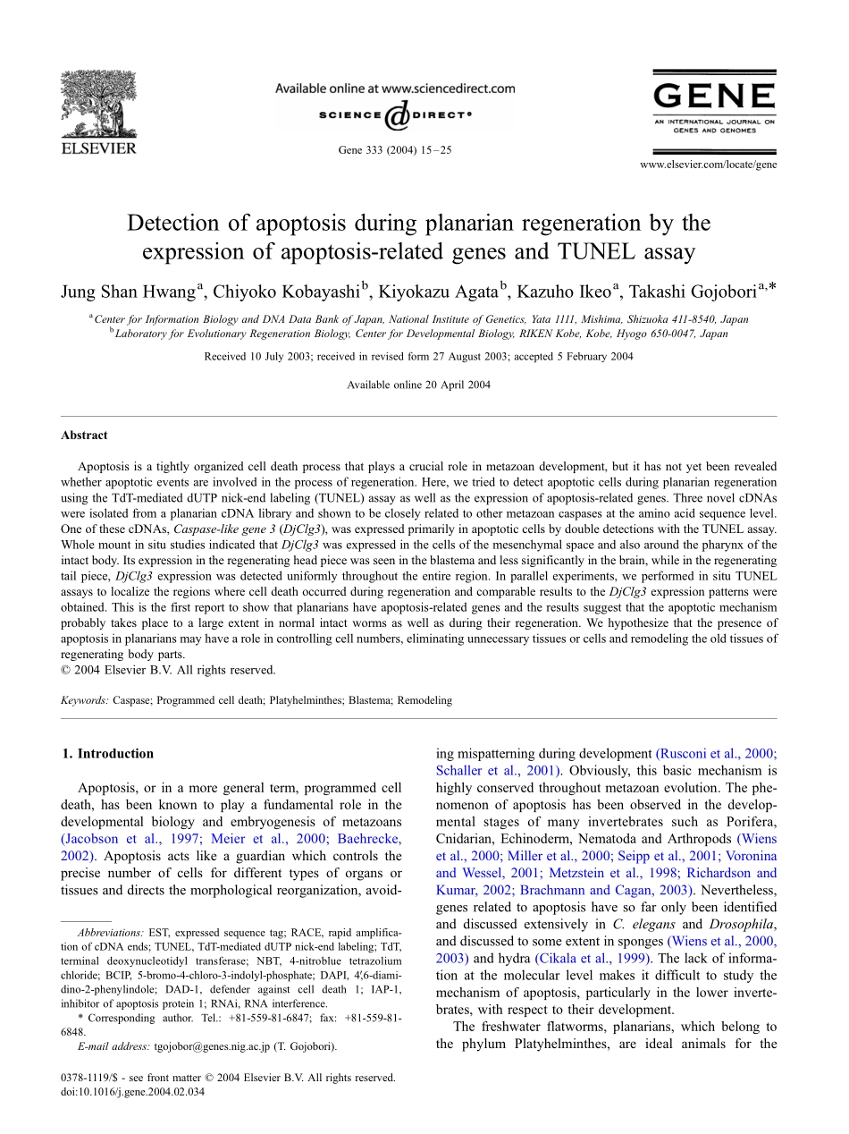 Detection of apoptosis during planarian regeneration and TUNEL assay.pdf_第1页