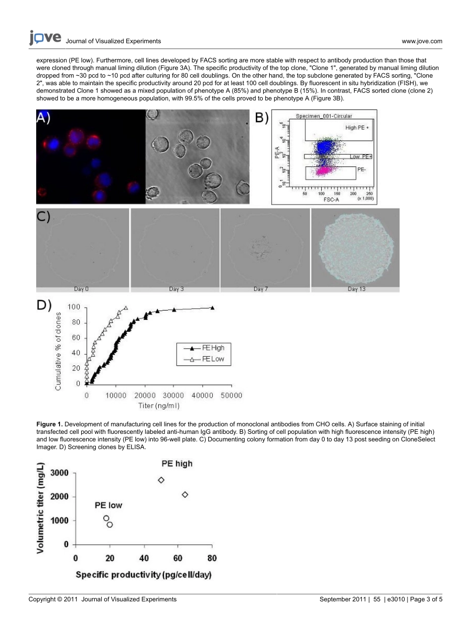 jove-prot.pdf_第3页