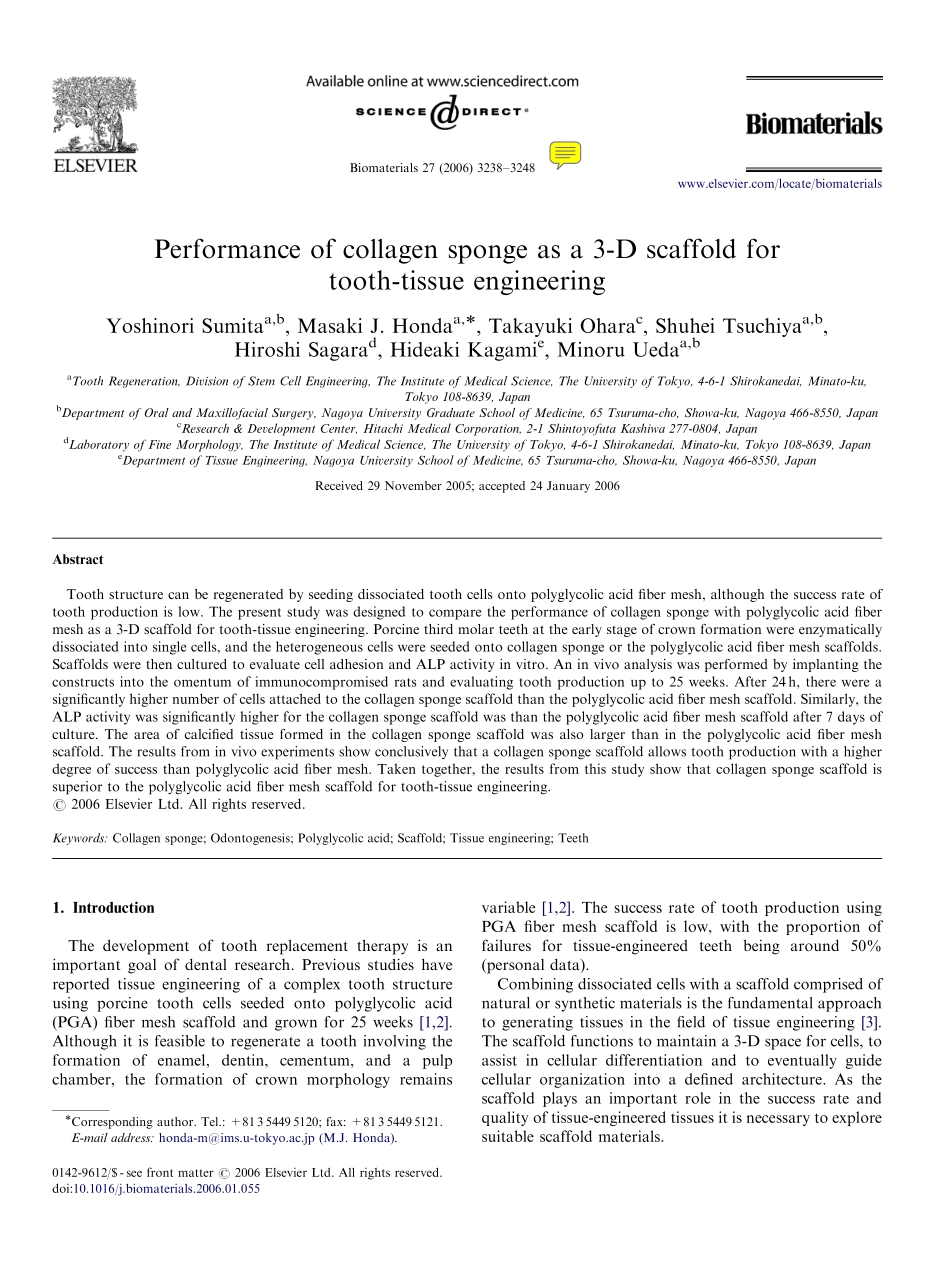 Performance of collagen sponge as a 3-D scaffold.pdf_第1页