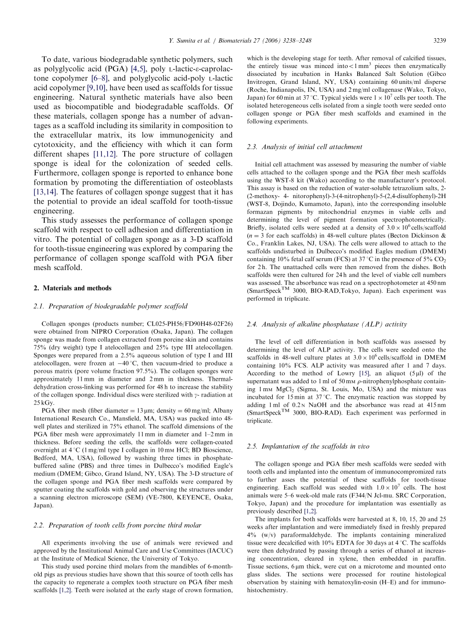 Performance of collagen sponge as a 3-D scaffold.pdf_第2页