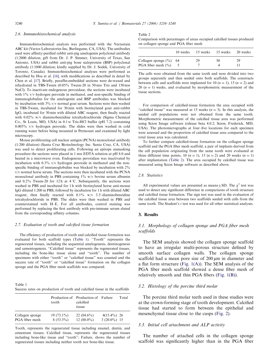 Performance of collagen sponge as a 3-D scaffold.pdf_第3页