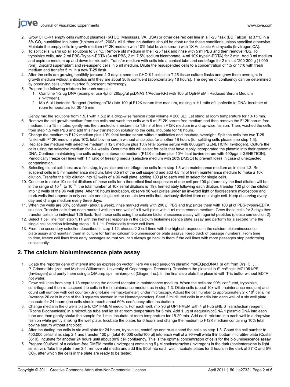 protocol-2732(1).pdf_第2页