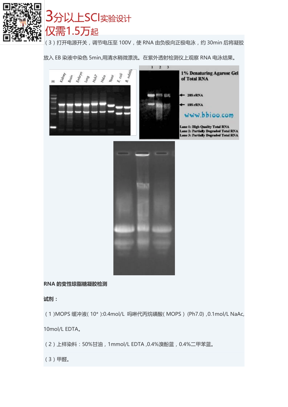 RNA琼脂糖凝胶电泳(1).pdf_第2页