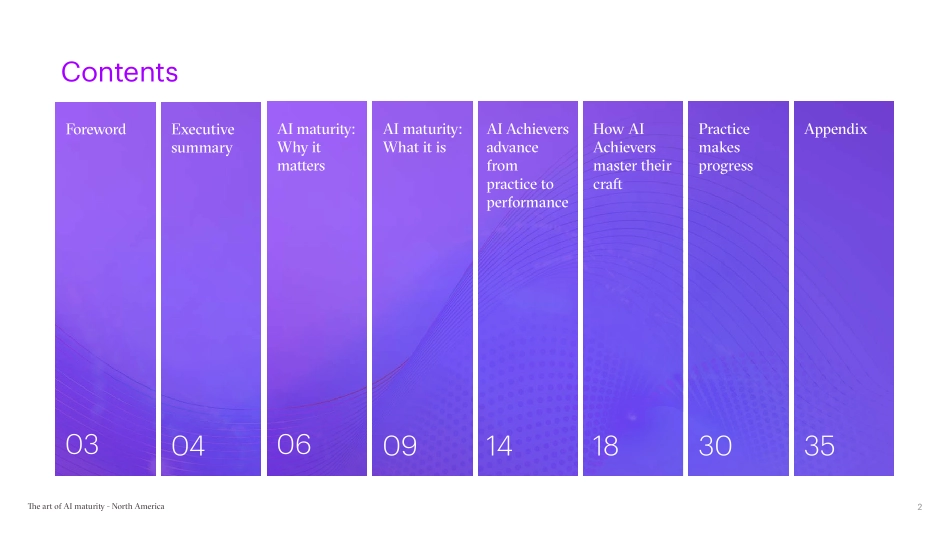 Accenture+人工智能成熟的艺术——北美视角-40页-WN6.pdf_第3页