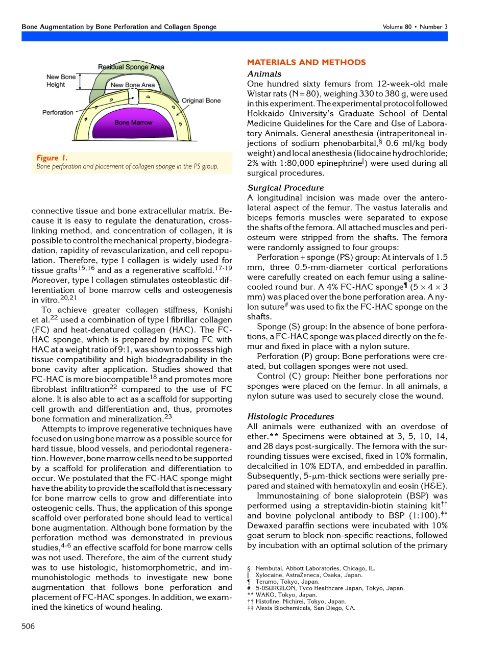 bone perforation and placement of collagen sponge facilitate bone augmentation.pdf_第2页