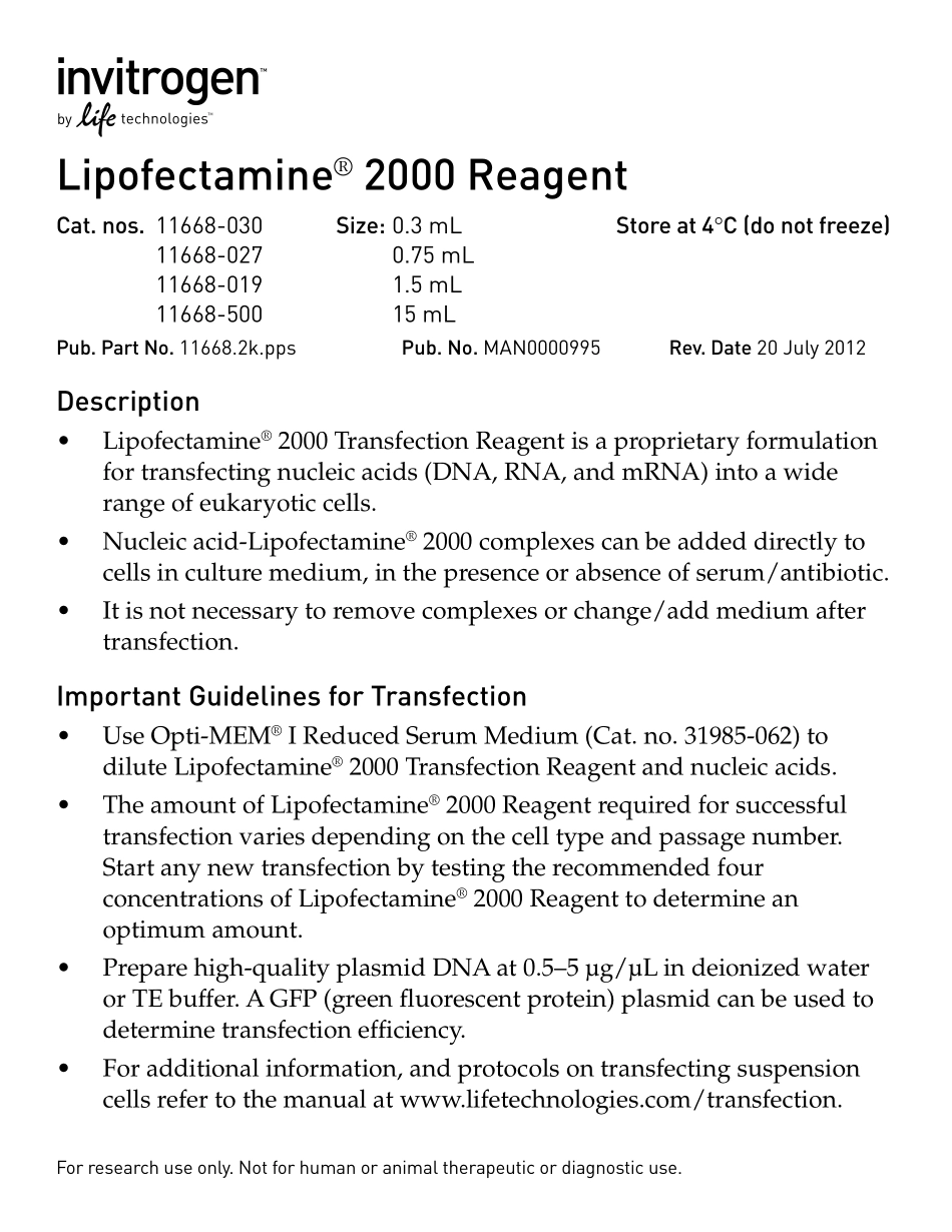 lipofectamine2000_man-New.pdf_第1页