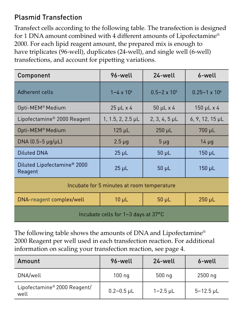 lipofectamine2000_man-New.pdf_第3页