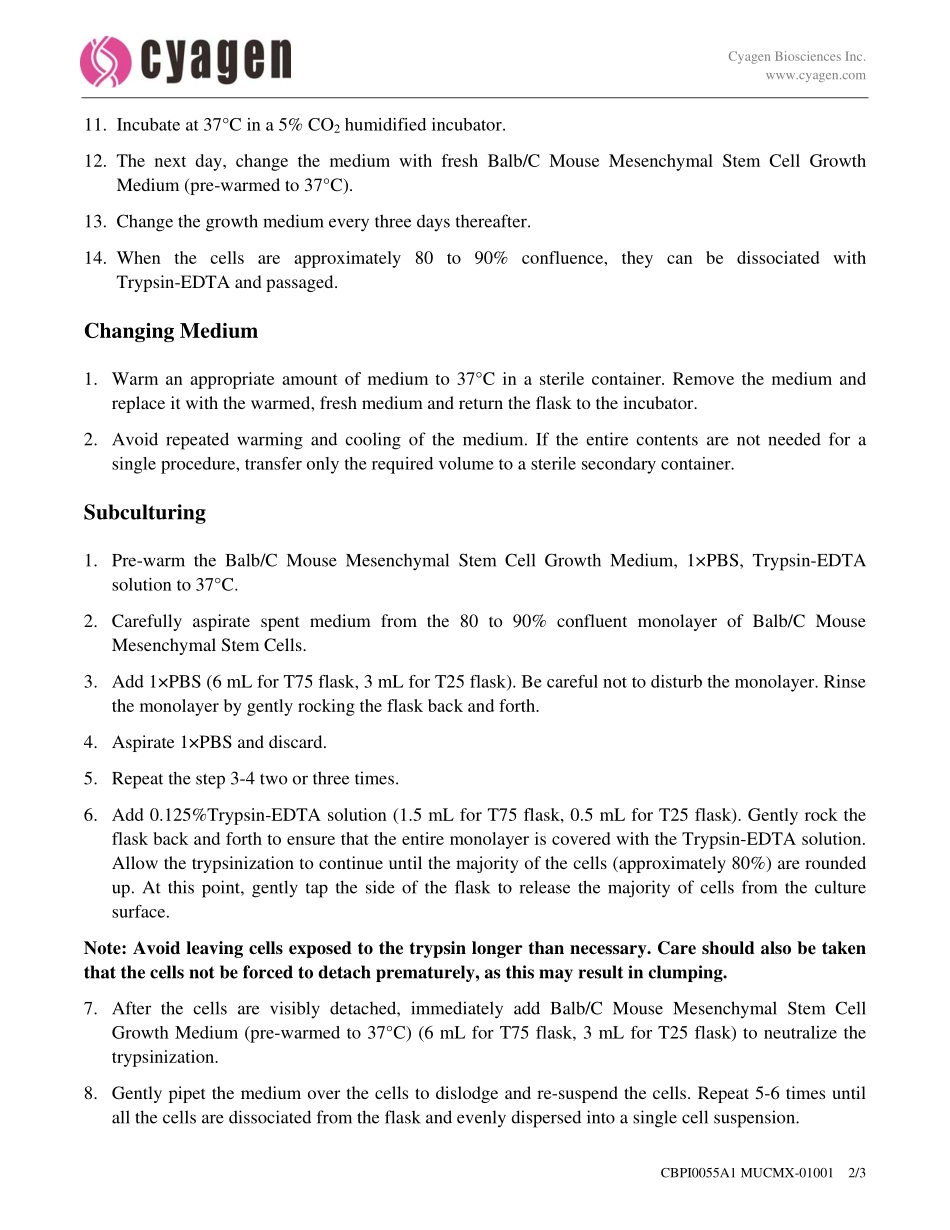 OriCellTM Balbc小鼠骨髓间质干细胞-MUCMX-01001.pdf_第2页