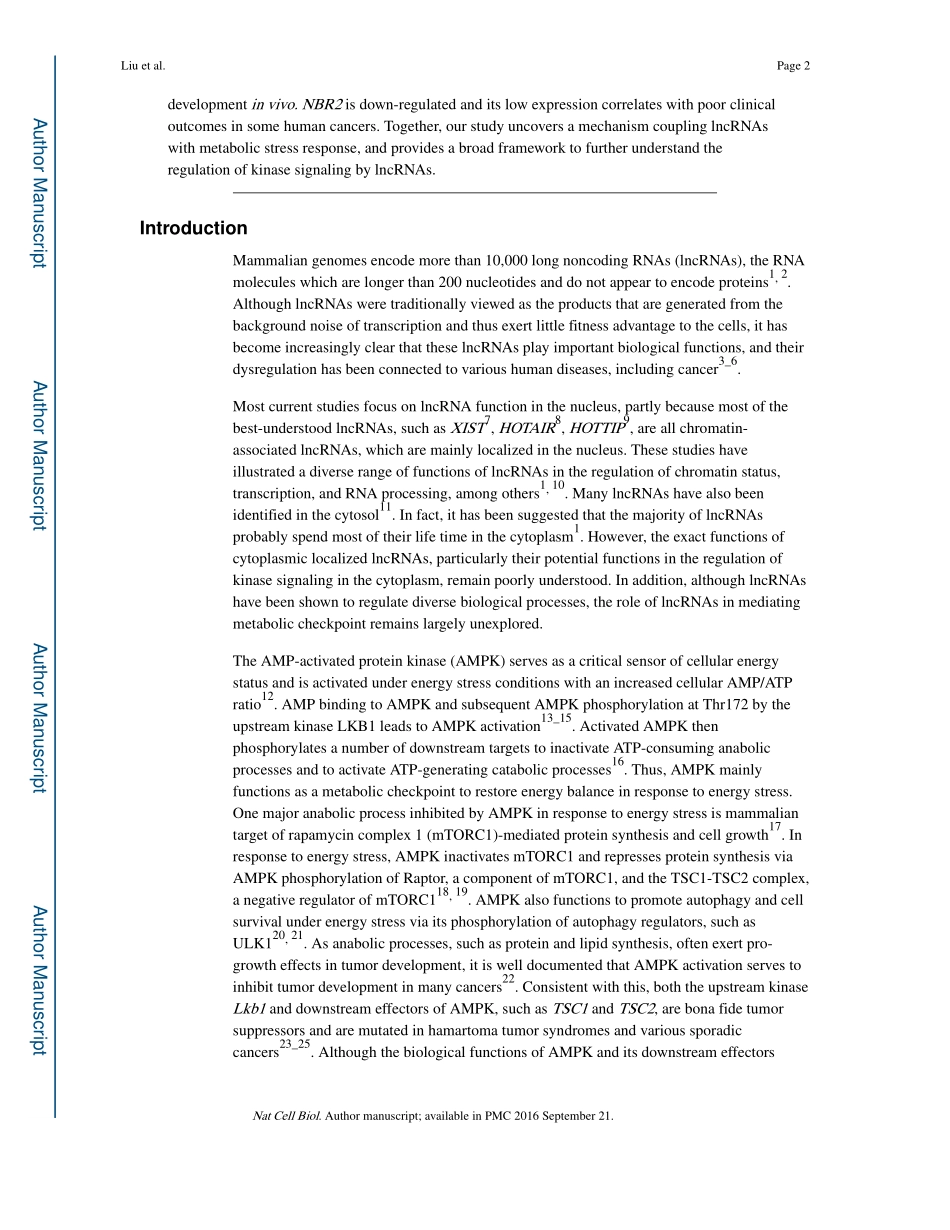 p-180713-001-0002(1).pdf_第2页