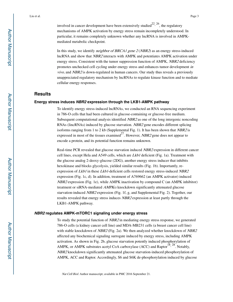 p-180713-001-0002(1).pdf_第3页
