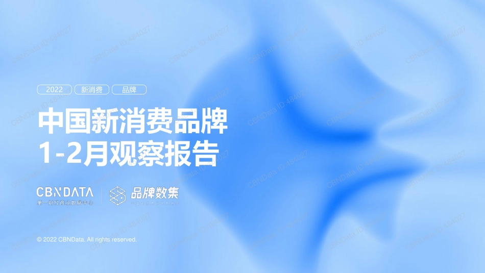 CBNData：中国新消费品牌2023年1-2月观察报告+22页-WN5.pdf_第1页
