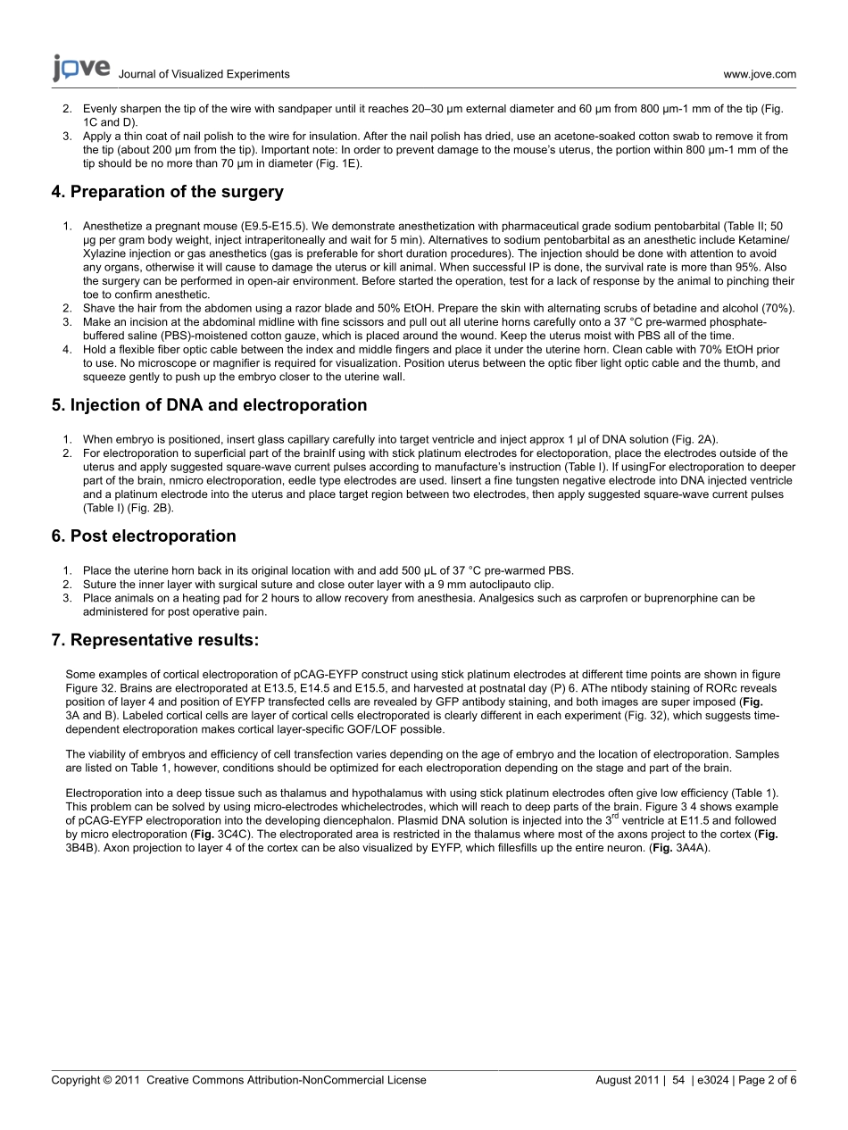 jove-protocol-3024.pdf_第2页