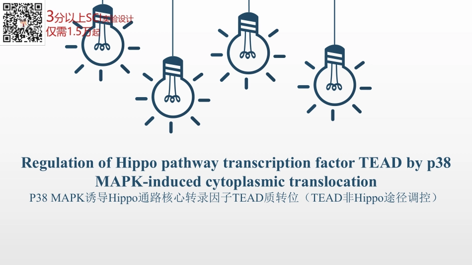 P38 MAPK诱导Hippo通路核心转录因子TEAD质转位（TEAD非Hippo途径调控）.pdf_第1页