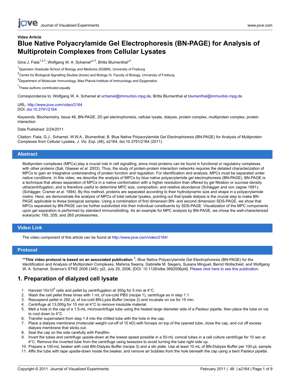 protocol.pdf_第1页