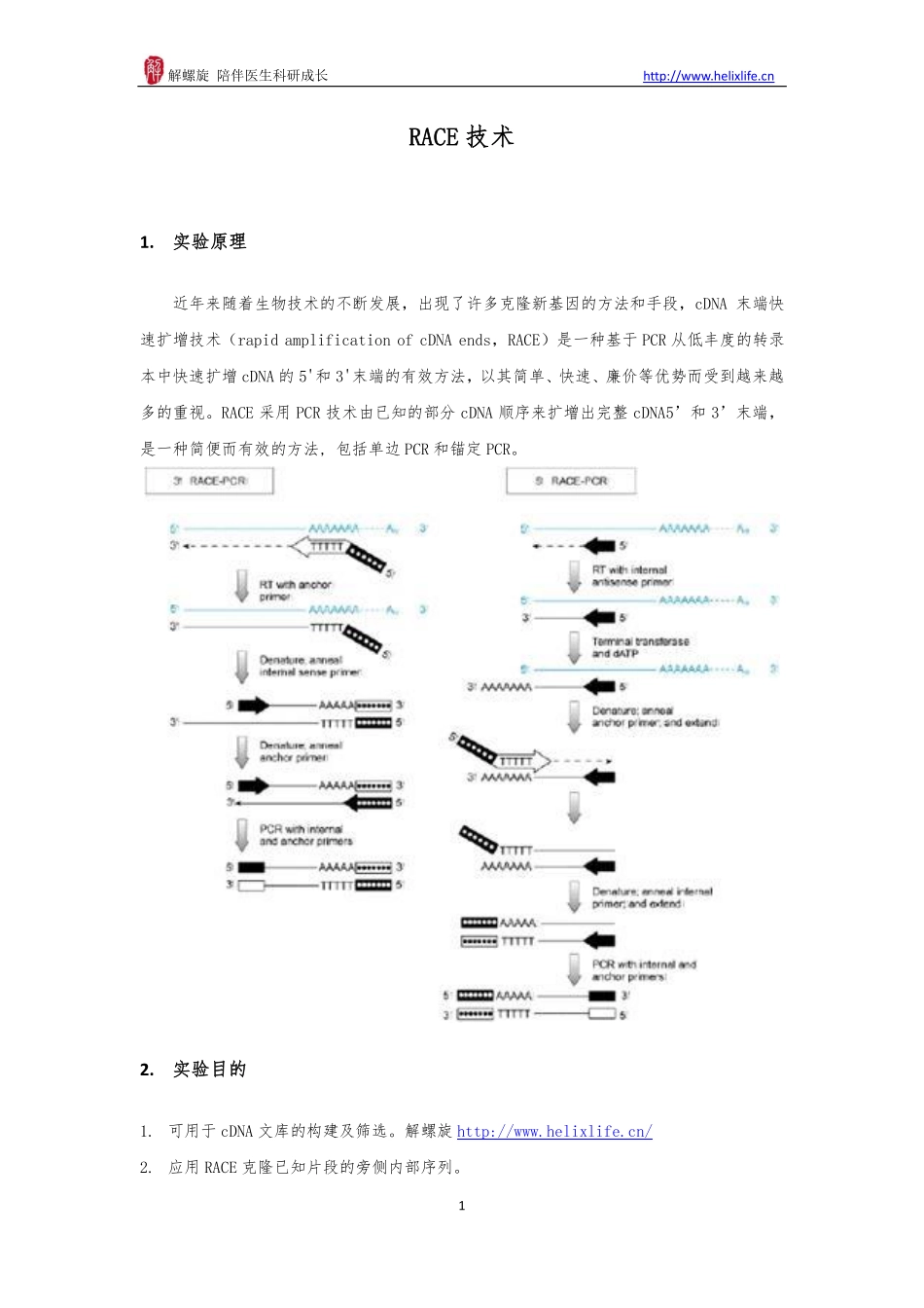 RACE技术(1).pdf_第1页
