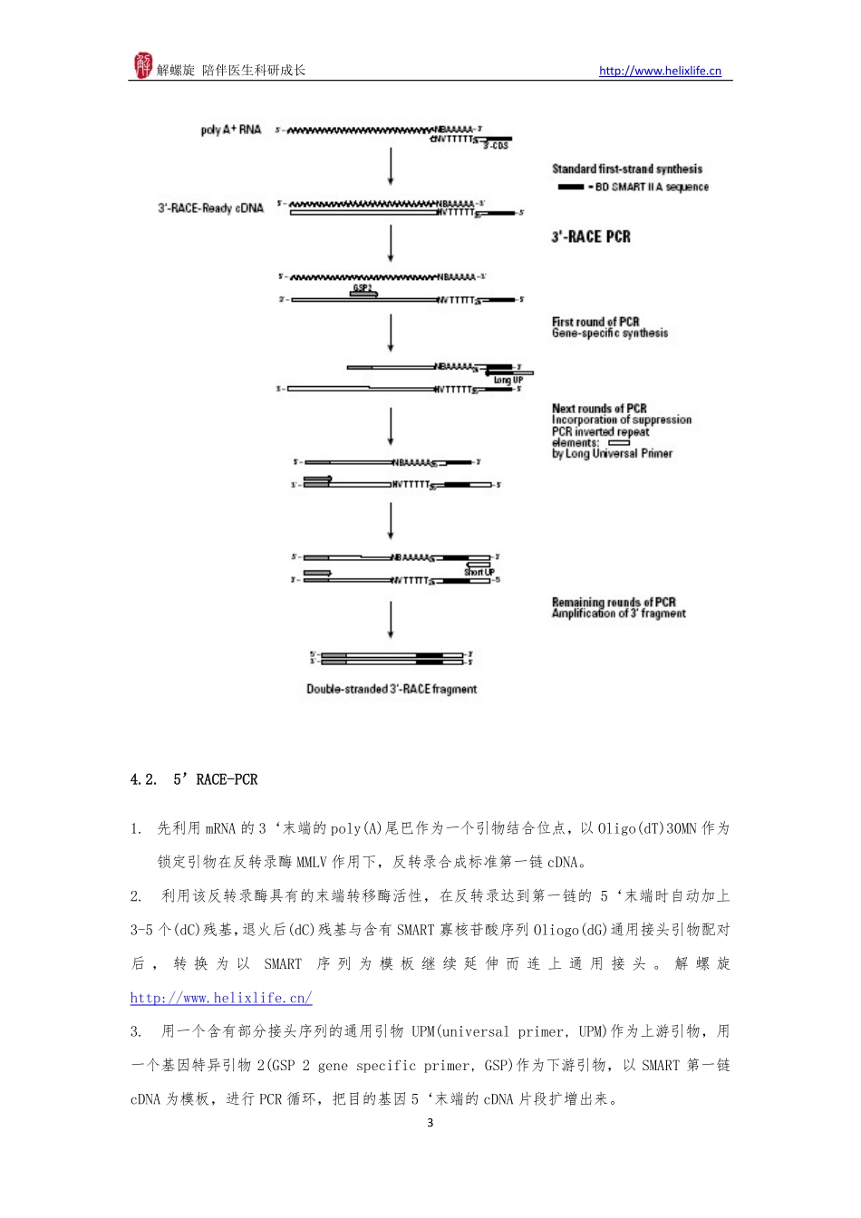 RACE技术(1).pdf_第3页