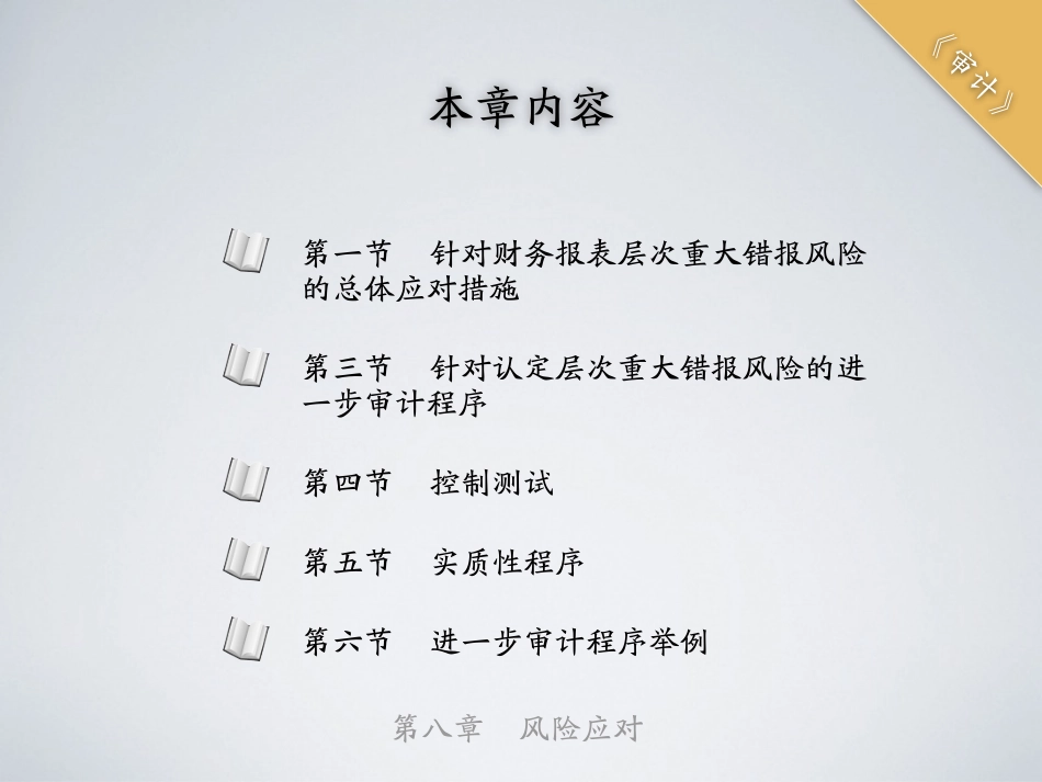 shenji-8.pdf_第3页