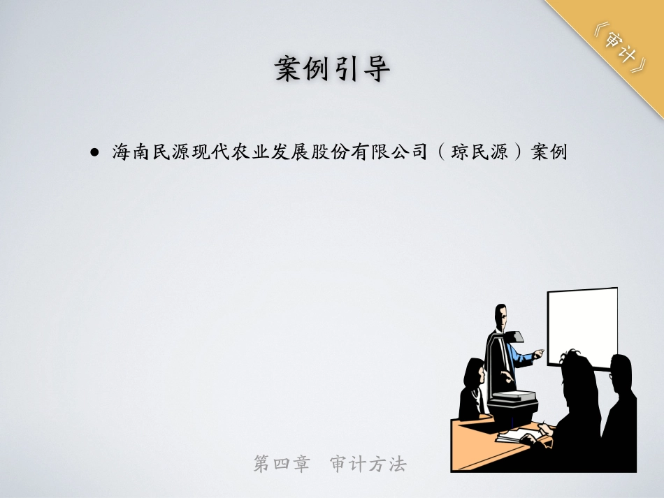 shenji-4.pdf_第3页