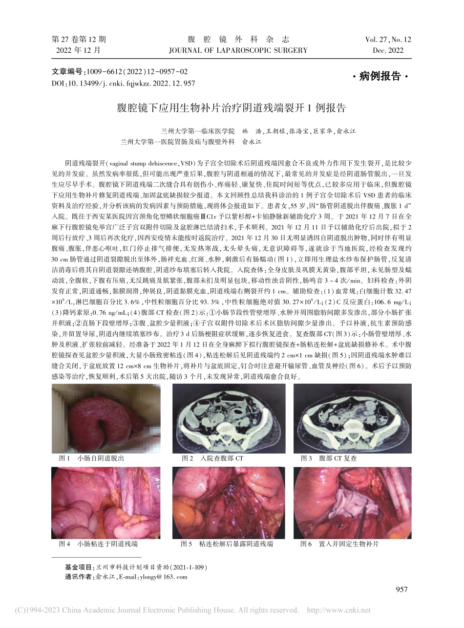 腹腔镜下应用生物补片治疗阴道残端裂开1例报告_林浩.pdf_第1页