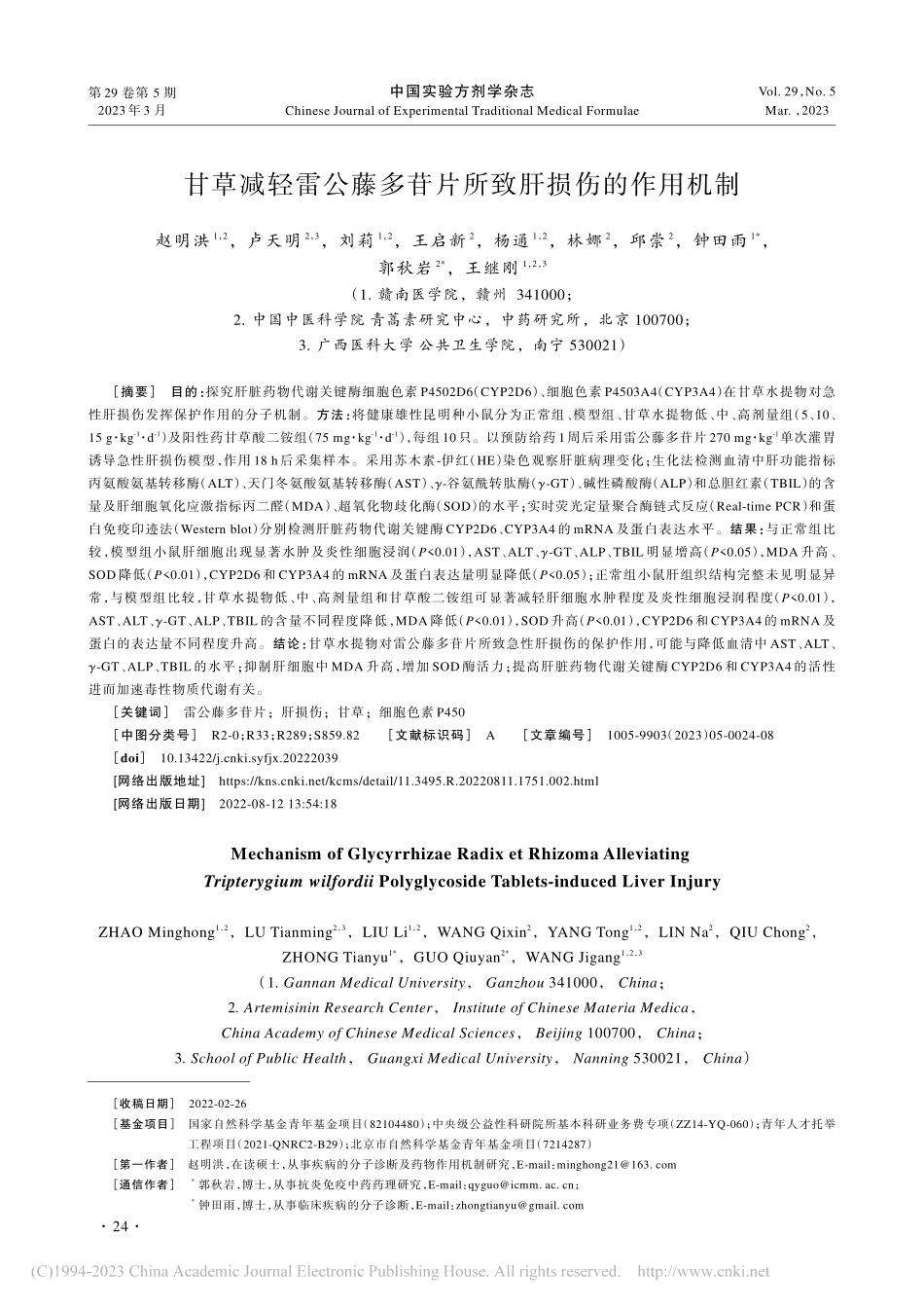 甘草减轻雷公藤多苷片所致肝损伤的作用机制_赵明洪.pdf_第1页