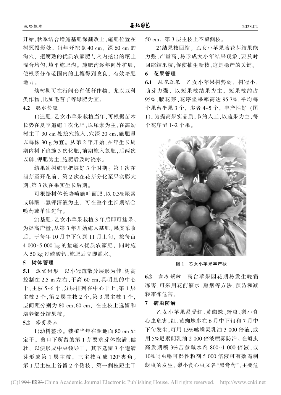 甘肃高台干旱沙地乙女小苹果栽培技术_万吉锋.pdf_第2页