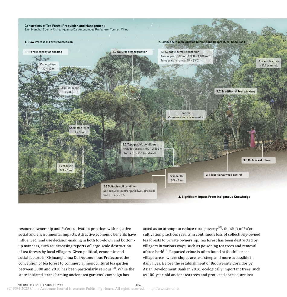 重述一方风土：云南南部市场...茶农业生态系统管理（英文）_王蔚淇.pdf_第3页