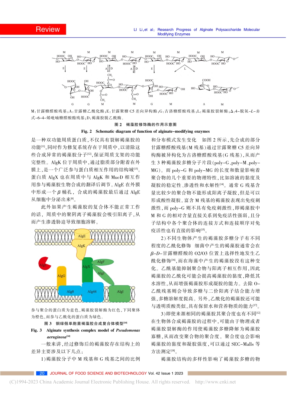褐藻胶多糖分子修饰酶的研究进展_李丽.pdf_第3页