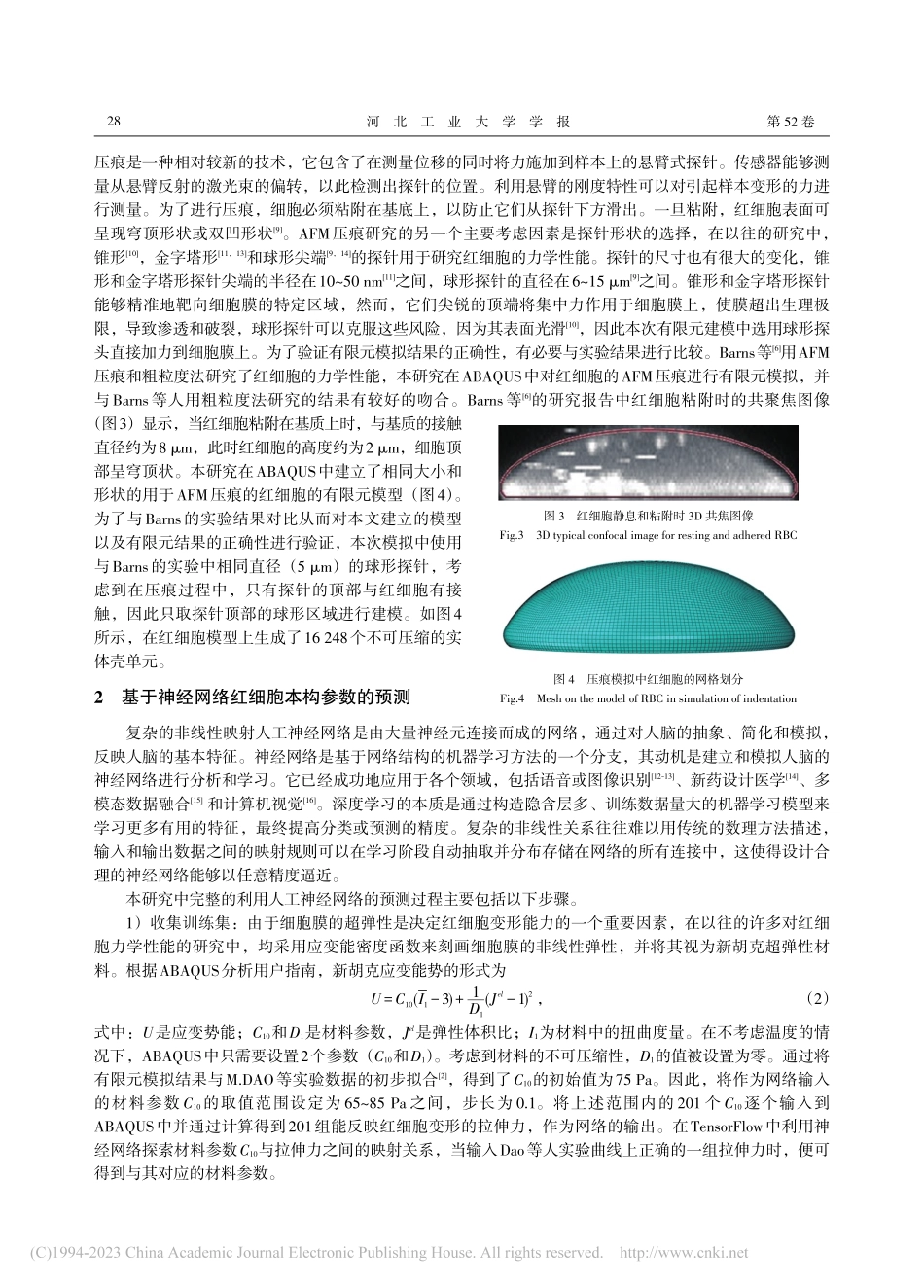 红细胞超弹性变形特性的有限元分析_王颖.pdf_第3页