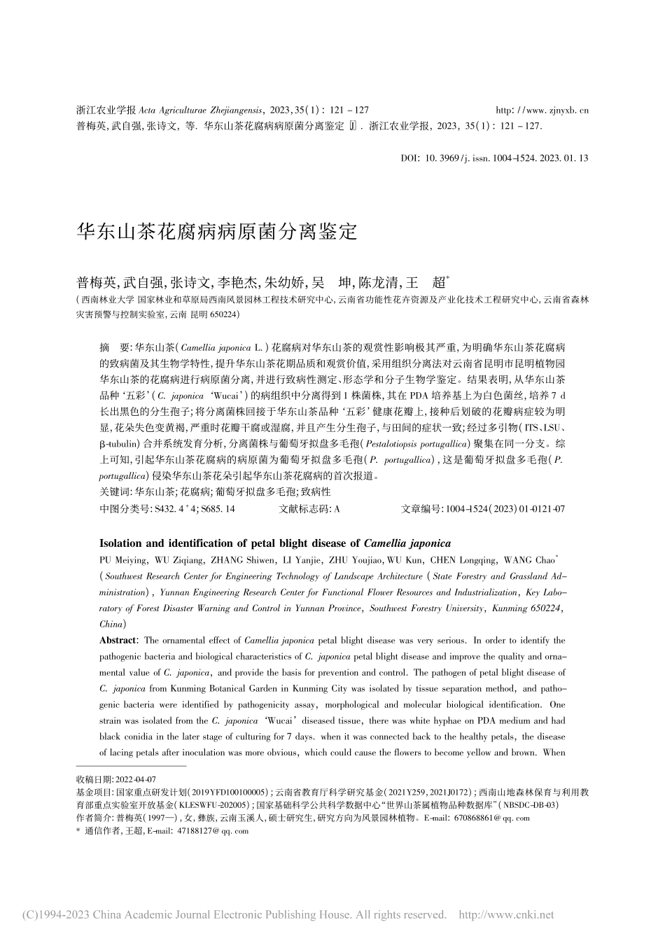 华东山茶花腐病病原菌分离鉴定_普梅英.pdf_第1页