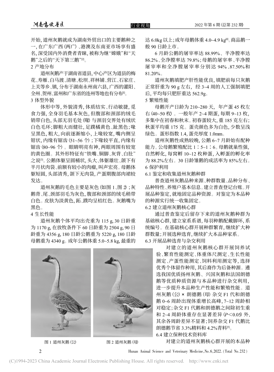 湖南地方优良鹅品种——道州灰鹅_于桂阳.pdf_第2页