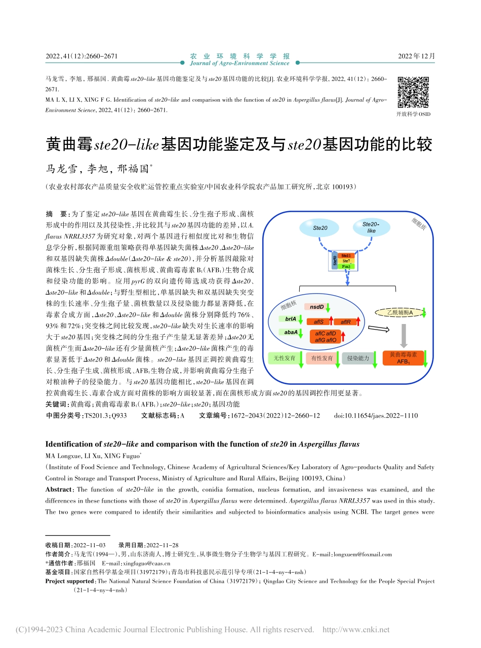 黄曲霉ste20-like...与ste20基因功能的比较_马龙雪.pdf_第1页