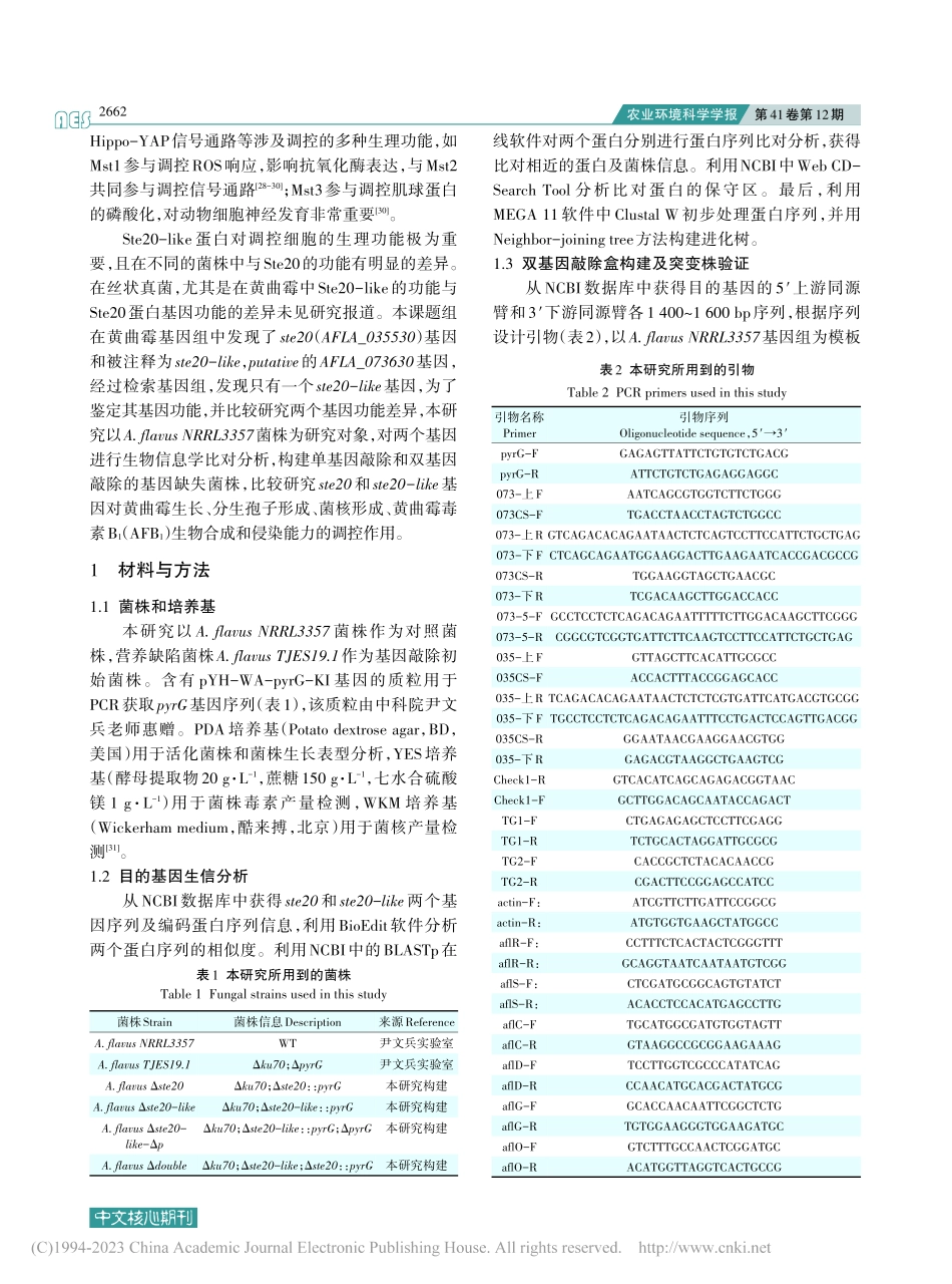黄曲霉ste20-like...与ste20基因功能的比较_马龙雪.pdf_第3页